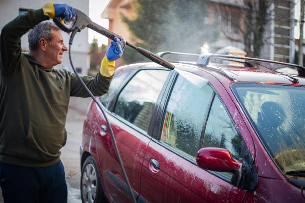 Best Roof Pressure Washing  in Alexandria, IN